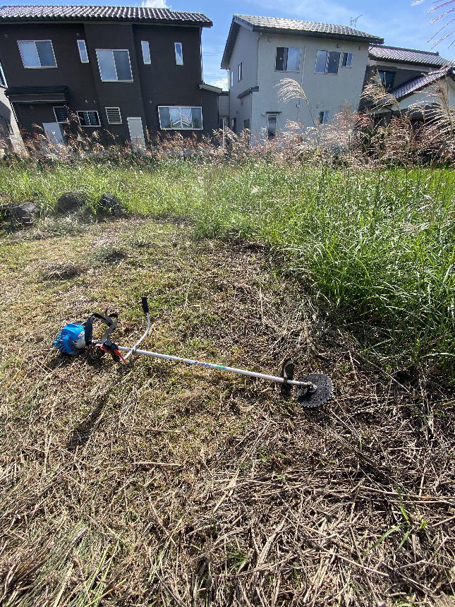 �������Ƃ̗l�q