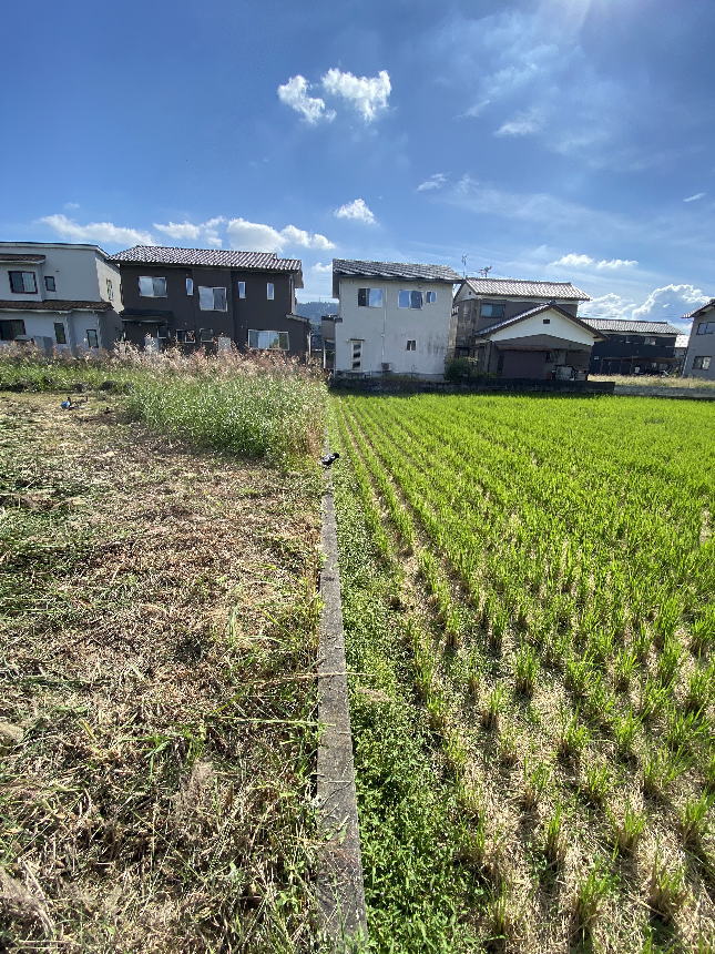 �������Ƃ̗l�q2